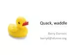 Quack, waddle - slide 1