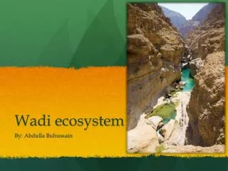 wadi ecosystem