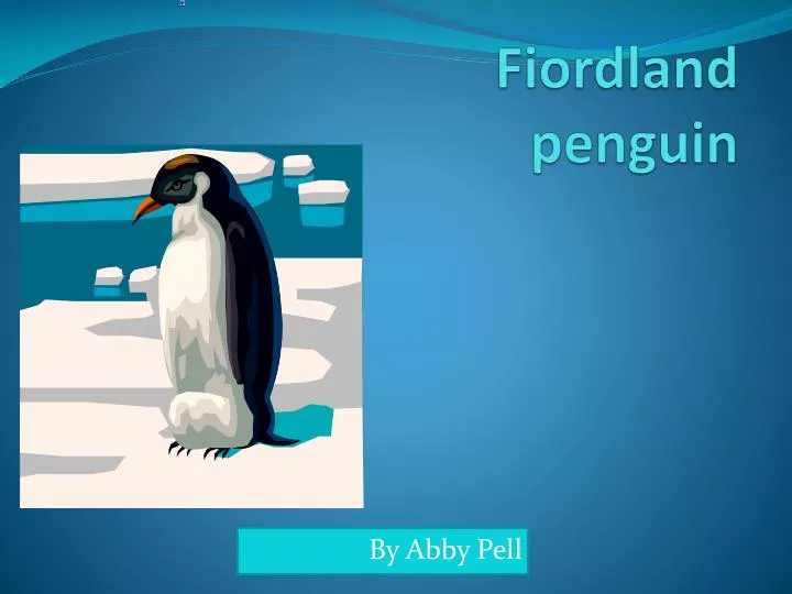 fiordland penguin