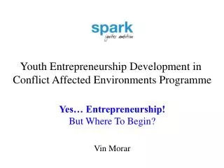 Youth Entrepreneurship Development in Conflict Affected Environments Programme