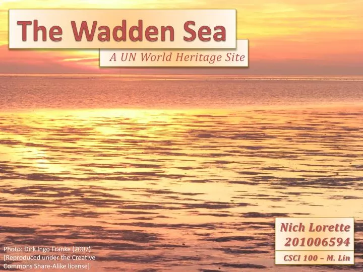 the wadden sea
