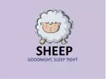 SHEEP - slide 1