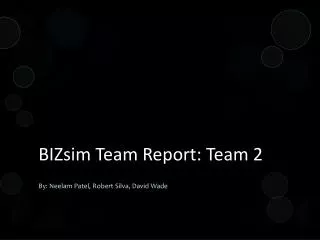 BIZsim Team Report: Team 2