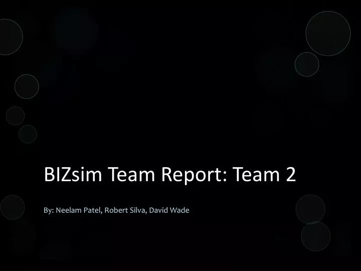 bizsim team report team 2