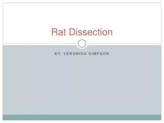 Rat Dissection