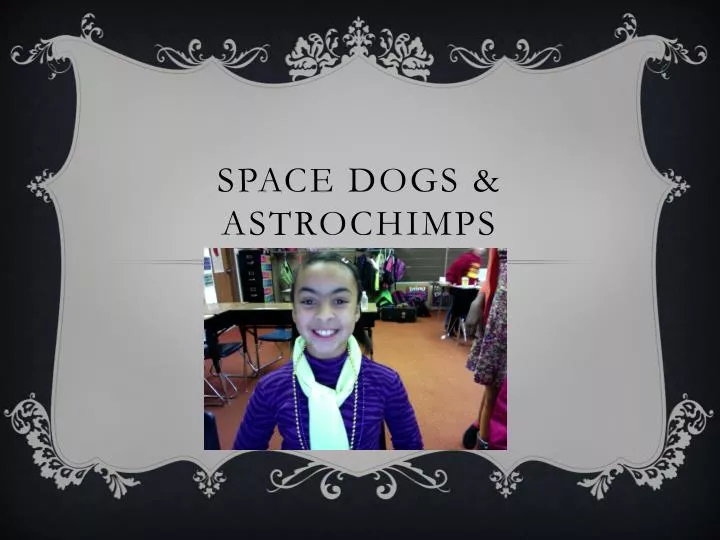 space dogs astrochimps