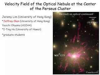 Velocity Field of the Optical Nebula at the Center of the Perseus Cluster