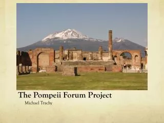 The Pompeii Forum Project