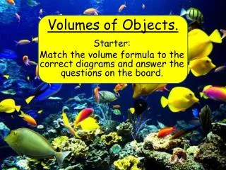 Volumes of Objects.