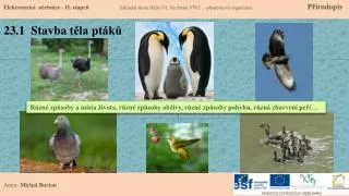23 1 stavba t la pt k