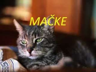 ma ke