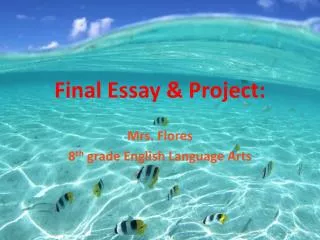 Final Essay &amp; Project: