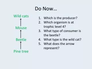 do now