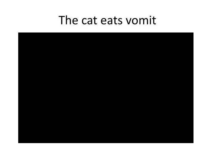 the cat eats vomit