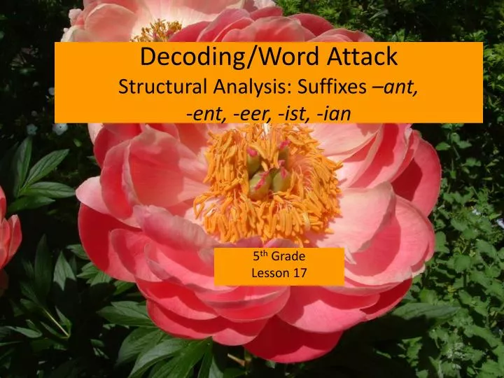 decoding word attack structural analysis suffixes ant ent eer ist ian