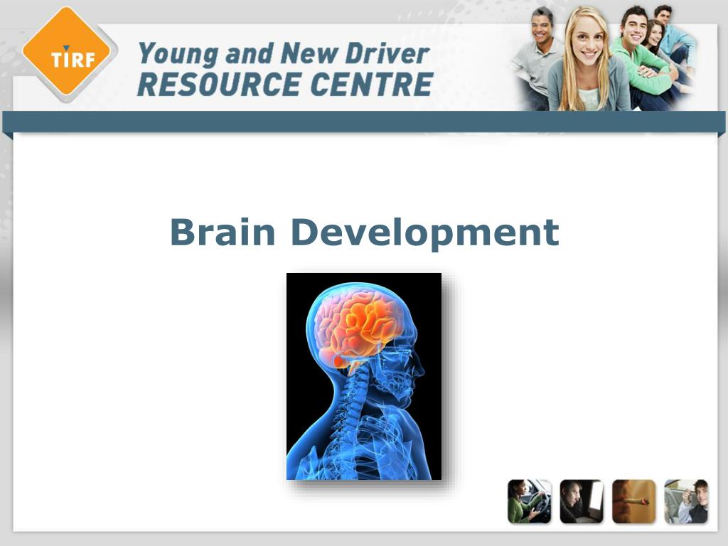PPT - Brain Development PowerPoint Presentation, free download - ID:2459465