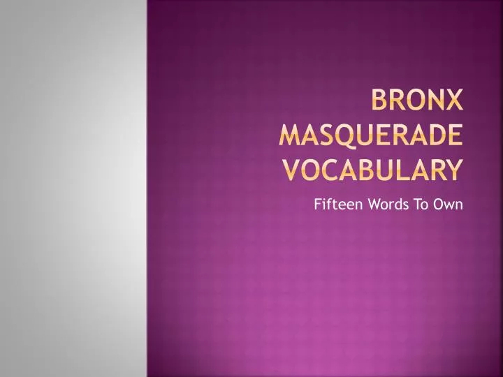 bronx masquerade vocabulary