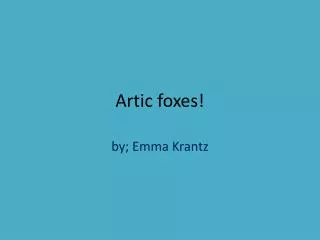 Artic foxes!