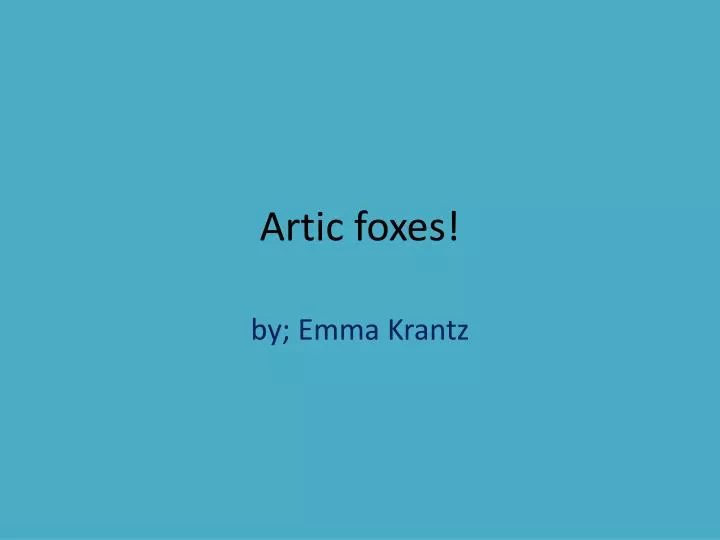 artic foxes