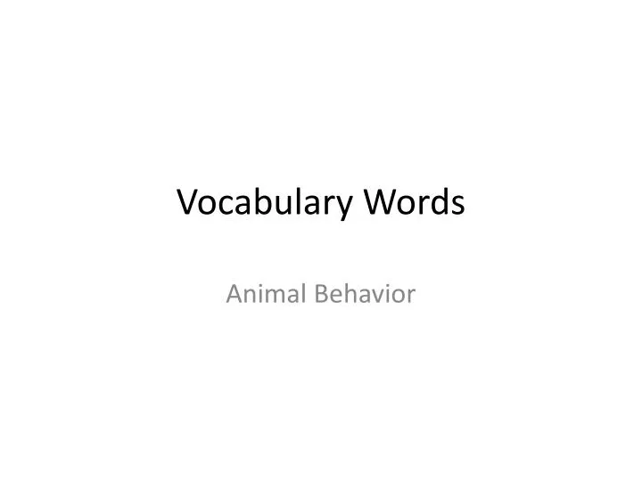 vocabulary words