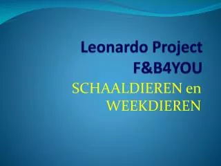 leonardo project f b4you