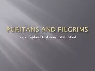 Puritans and Pilgrims