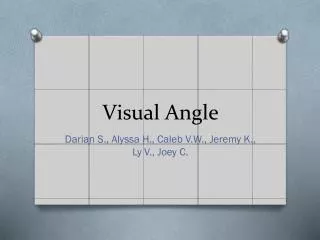 Visual Angle