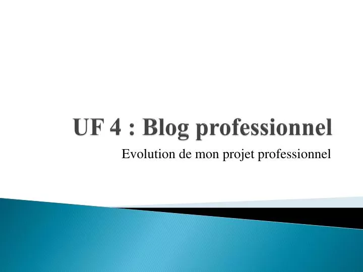 uf 4 blog professionnel