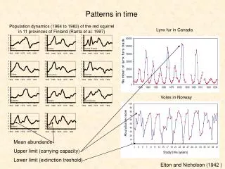 Patterns in time