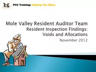 Mole Valley Resident Auditor Team Resident Inspection Findings: Voids and Allocations
