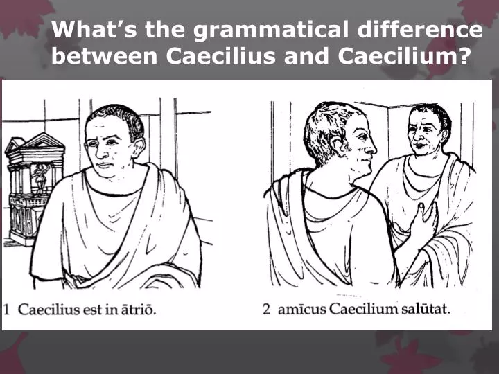 what s the grammatical difference between caecilius and caecilium