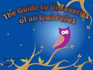 The Guide to Discoveries of an Owl Pellet