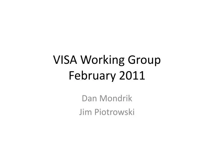 visa working group february 2011