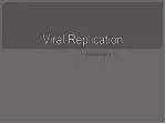 Viral Replication - slide 1