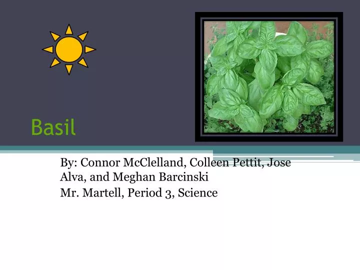 PPT Basil PowerPoint Presentation free download ID 2460675