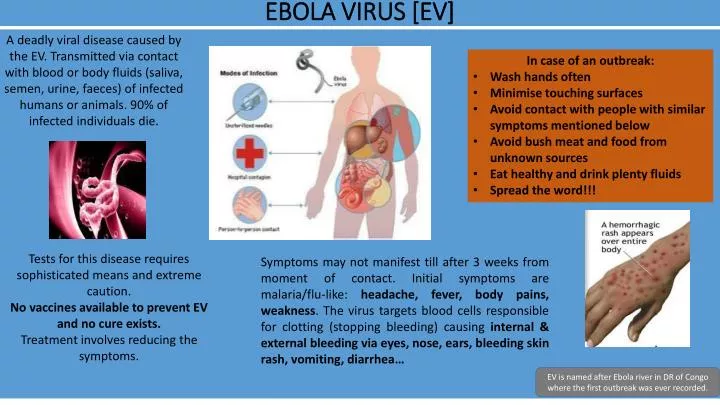 ebola virus ev