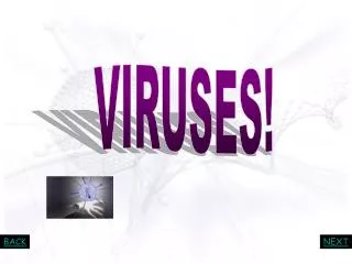 VIRUSES!