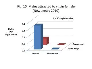 Fig. 10. Males attracted to virgin female (New Jersey 2010)