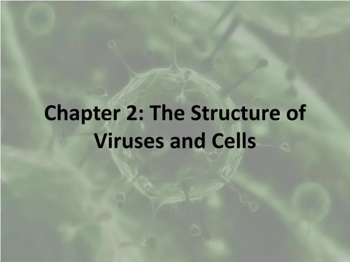 chapter 2 the structure of viruses and cells