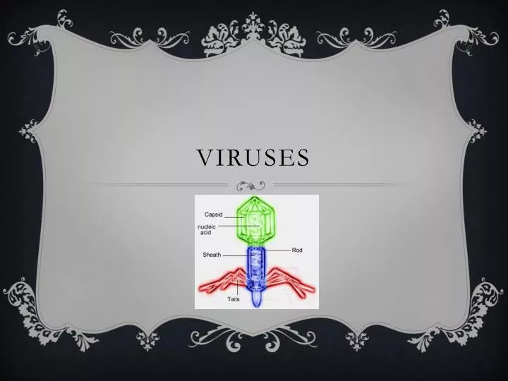 viruses