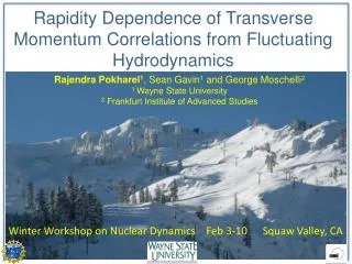 Rapidity Dependence of Transverse Momentum Correlations from Fluctuating Hydrodynamics