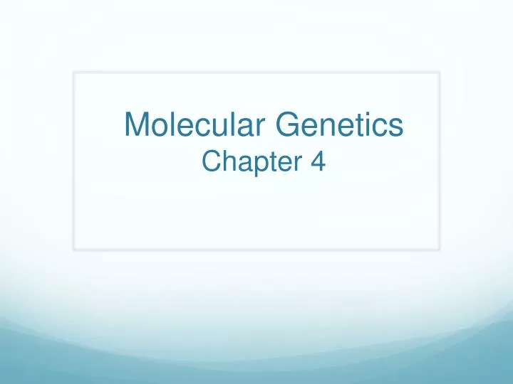 molecular genetics chapter 4
