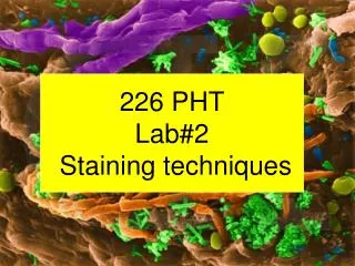 226 PHT Lab#2 Staining techniques