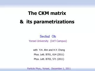 The CKM matrix &amp; its parametrizations