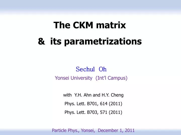 the ckm matrix its parametrizations