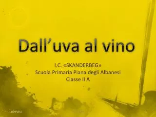 dall uva al vino