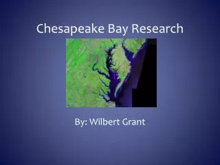 Chesapeake Bay Research