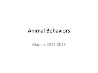 Animal Behaviors