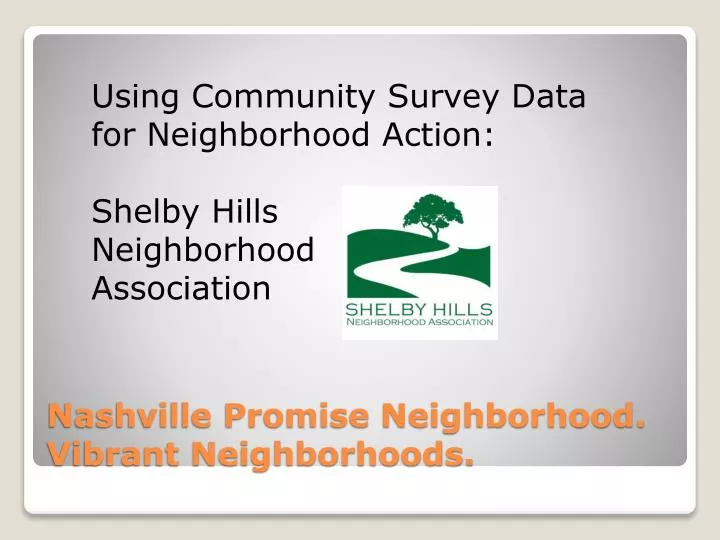 nashville promise neighborhood vibrant neighborhoods