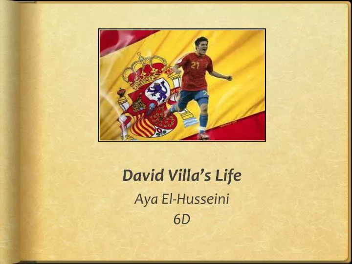 david villa s life